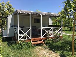 Bellerofon Camping