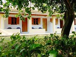 Anemona Studios