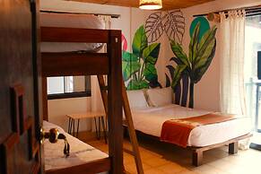 Supertramp Hostel Machupicchu