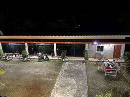 Brown Andaman  Krabi