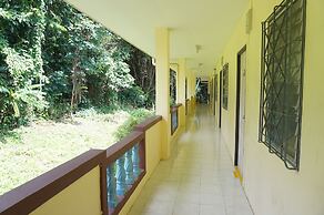 Palmy Home