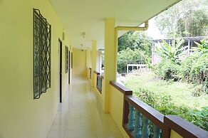 Palmy Home