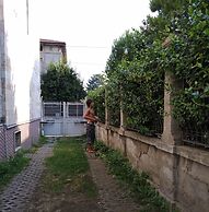 B&B Mavipagi