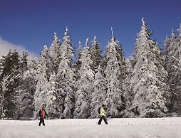 Nature Titisee