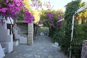 Damnoni Paradise