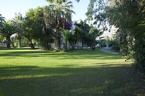 Damnoni Paradise