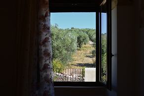 Torre Bruno