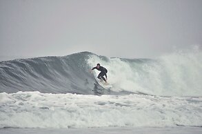 Salty Jackal Surf Camp