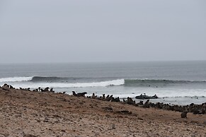 Salty Jackal Surf Camp
