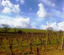 Il Cantiniere