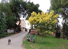 Il Cantiniere