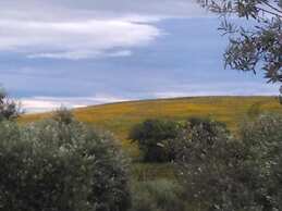 Il Cantiniere