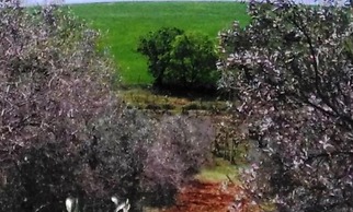Il Cantiniere