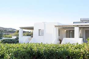 Golden Sand Paros