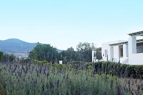 Golden Sand Paros
