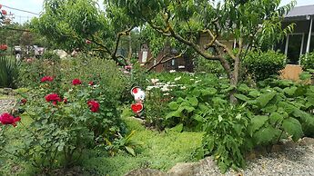 Flowering garden
