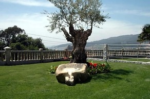 Hotel Liñares