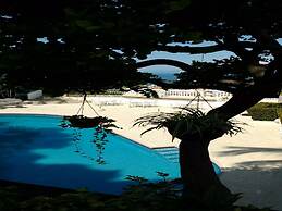 Las Playas Guitarron