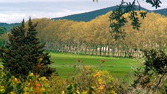 Domaine de Ceyrac - Chambres d'hôtes