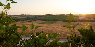 Poggio Antico - Suites and Breakfast