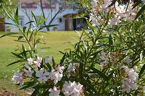 Quinta da Mesquita