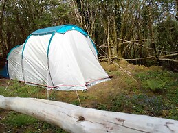 Burren Bushcraft - Camping & Adventures