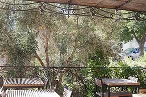A Pasturella