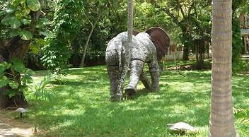 White Elephant Sea & Art Lodge