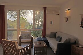 Villa Mola