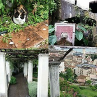 B&B Feel Salerno