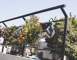 Carmel Boutique