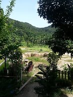 The Tree Madauwan