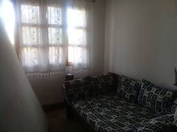 Lion Villa