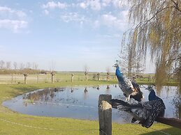 Aan de Waterspiegel