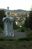 FAVAR Carpathians