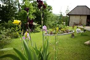 FAVAR Carpathians