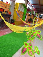 Flor del Valle
