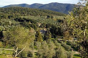 Molino Della Volta
