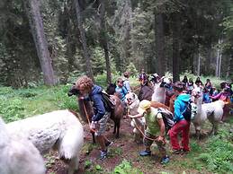 Chalet nel Doch