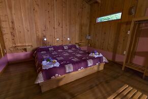 Toucanet Lodge