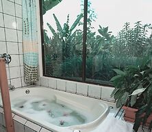 Toucanet Lodge