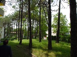 Lignano
