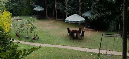 Gracia Gardens