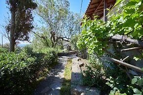 Zorbas Volissos Apartments Chios