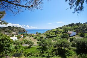 Zorbas Volissos Apartments Chios