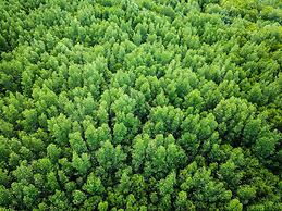 Mango House Seafront Suites And Villas