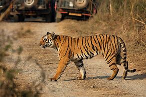 voco Jim Corbett by IHG