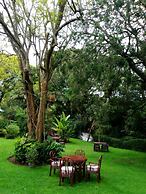 Naro Moru River Lodge