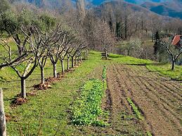 Fattoria Giunasco