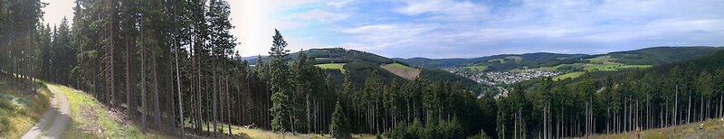 Sonneneck